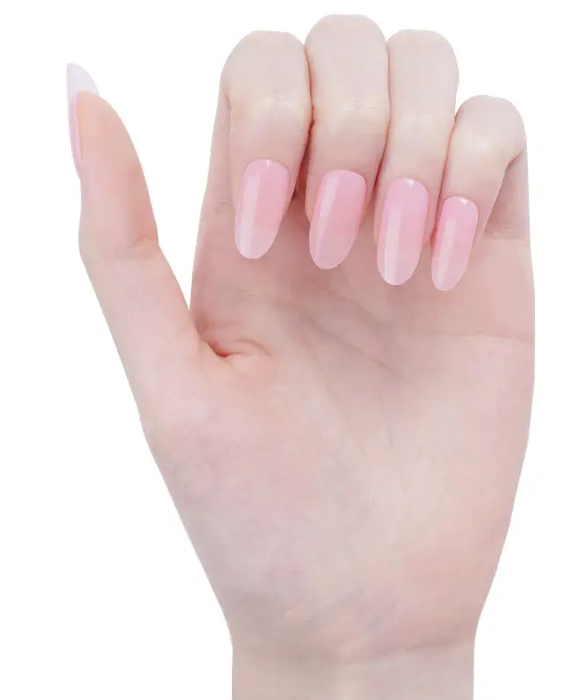 Pink Blush Elegance