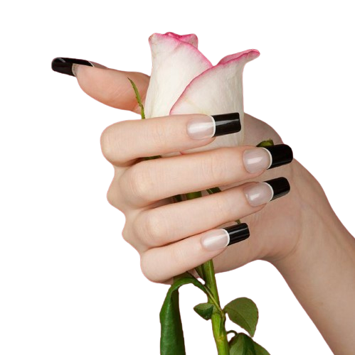 Black French Tips