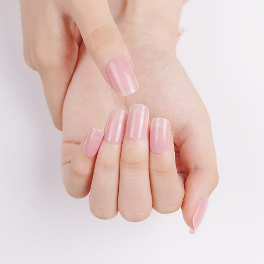 Sheer Pink Tulip